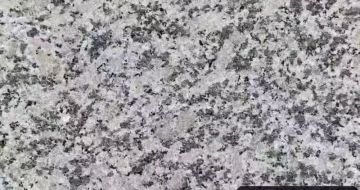 克拉玛依 芙蓉白（芝麻白大花）火烧面