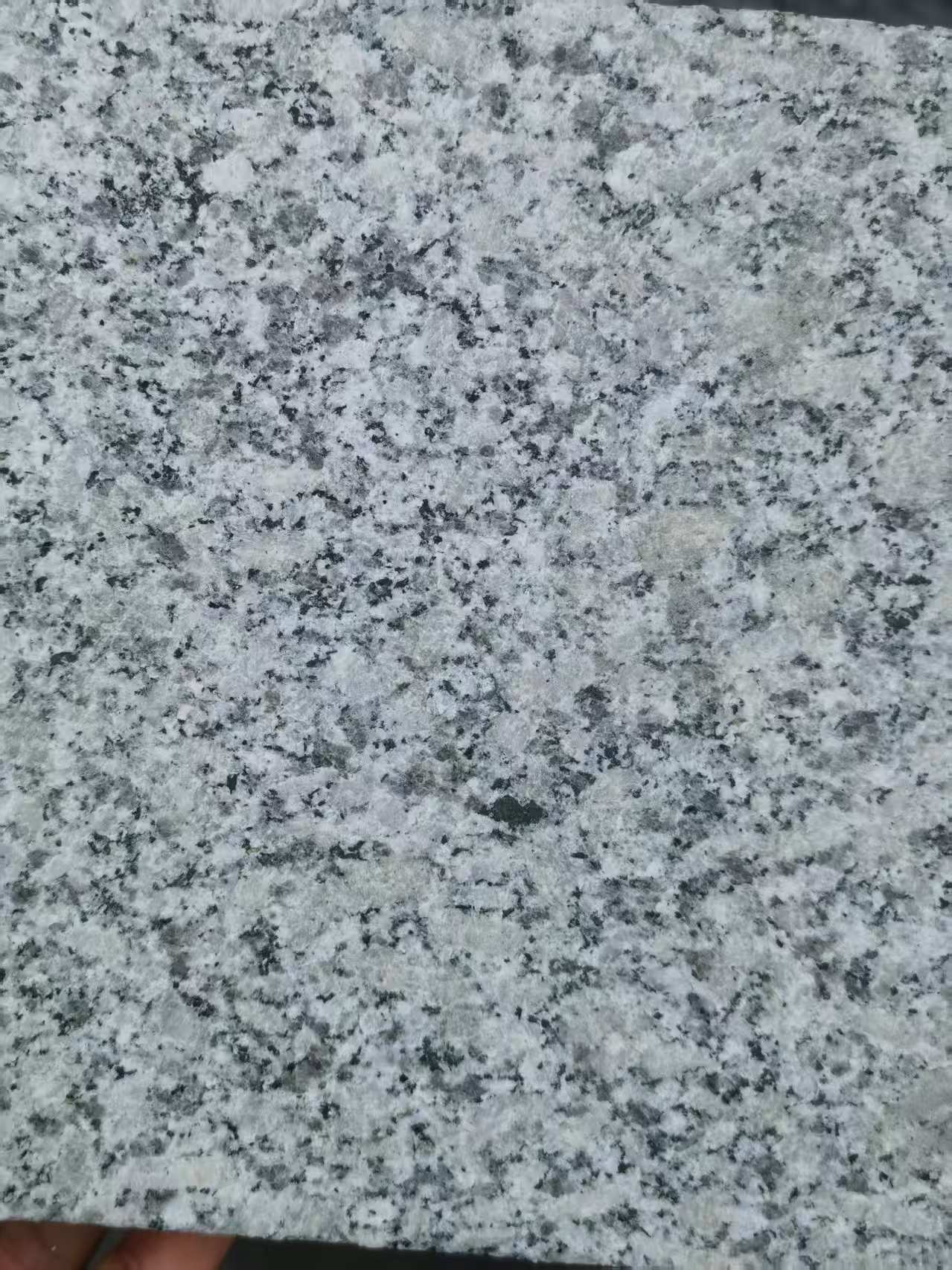 克拉玛依 芙蓉白火烧面