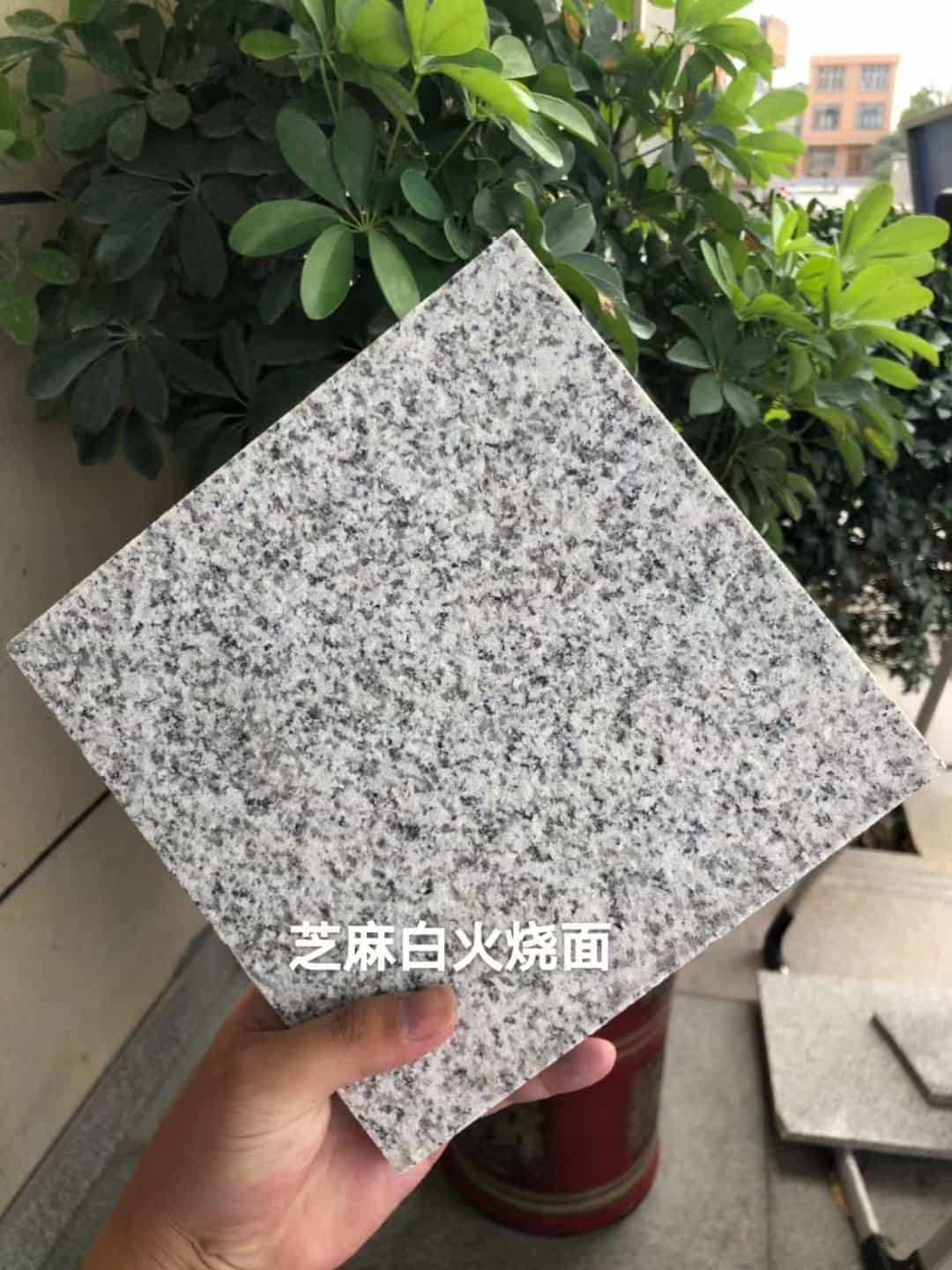 克拉玛依芝麻白火烧面地铺